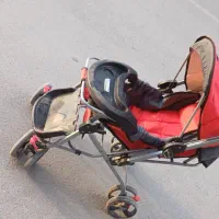 کالسکه و اسب