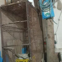 قفس آهنی|لوازم جانبی حیوانات|بند زرک, |دیوار