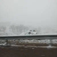 تورپیست فریدونشهر قیمت تخفیف خورده ۸۰۰فقط