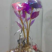 قیمت۲۹۰ تومن