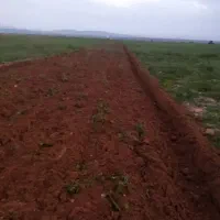 اجاره-زمین-کشاورزی