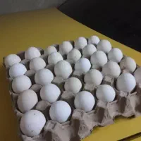 تخم مرغ گلین اصل فول ریش 20000تومان