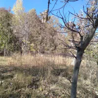 باغ فروشی 500متری روستای آل|فروش زمین و ملک کلنگی|مشهد, کارده|دیوار