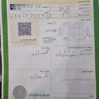 جکj4|خودرو سواری و وانت|ری, ولی آباد|دیوار