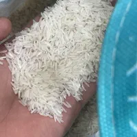 فروش و پخش عمده و جزئی برنج