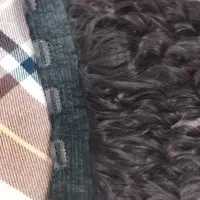 مو گیره ای|آرایشی، بهداشتی، درمانی|تربت جام, فاز ۳ فرهنگیان|دیوار