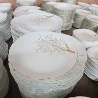 پخش آرکوپال طه انباری به صورت عمده و فله‌ای