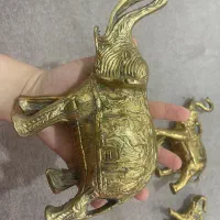 فیل های برنجی