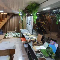 فروش واجرای انواع دکوراسیون داخلی کناف کاغذدیواری