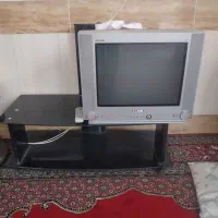 تلویزیون