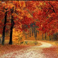 زمین کشاورزی دیم مرغروب