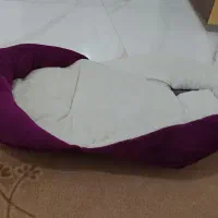 آغوش شیردهی