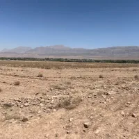 استخدام نیروی خانم آشپزی و خدمات دفتری