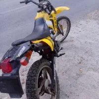 موتور مزایده تریل