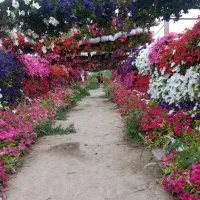 پیش-فروش-خانه-ویلایی