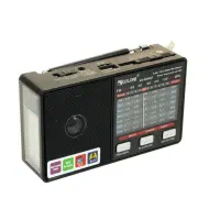 رادیو اسپیکر شارژی برقی بلوتوثی گولون چراغقوهدار