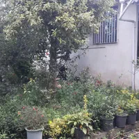 فروش خانه ویلایی در محوطه ۵۳۶ متری|فروش خانه و ویلا|کلاچای, |دیوار