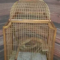 قفس چوبی دستساز