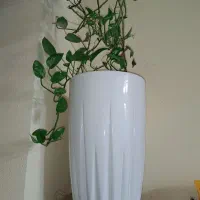 گل و گلدان