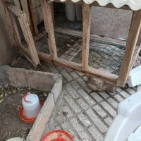 قفس مرغ خروس|لوازم جانبی حیوانات|کرمانشاه, |دیوار