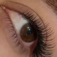 مدل برای کاشت و اکستیشن