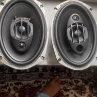 باندسالامون آمریکایی اورجینال