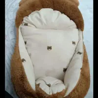 آغوشی کودک ندی