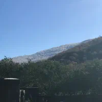 زمین داخل بافت،دو قطعه۲۵۰،سند۶دانگ،عباس آباد،گرداب