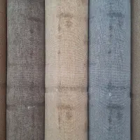 البوم اسا پالازموکت