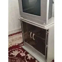 تلویزیون