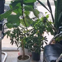 منزل اجاره جمکران