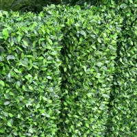 فنس چمنی و برگی به قیمت تولید