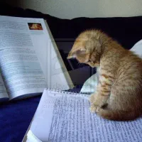 آموزش زبان آلمانی حضوری و آنلاین