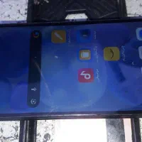 شیامی پوکو ام تری