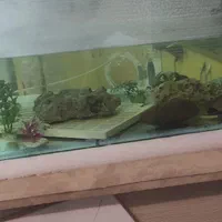 آکواریم دست ساز|ماهی|مبارکه, |دیوار