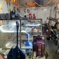 مژده مژده|خدمات پیشه و مهارت|فسا, |دیوار