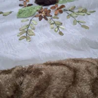 رو تختی دو نفره|سرویس روتختی|شیراز, شهرک گلستان|دیوار
