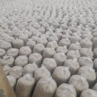 تفاله چغندر