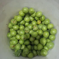 گوجه سبز