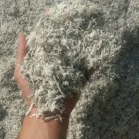 تفاله چغندر پرس خشک چقندر