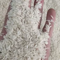 برنج طارم ندا