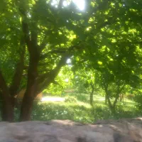 زمین جهت اجاره