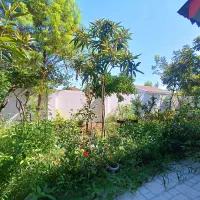 ویلا باغ 320متری 2خواب نزدیک شهر/لشت نشا زیباکنار|فروش خانه و ویلا|رشت, فلسطین|دیوار