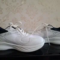 کفش اسپرت نو نو|کیف، کفش، کمربند|کرمان, |دیوار