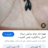 عالی و تضمینی