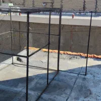 کبوتر|پرنده|بروجرد, |دیوار