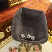 خونه سگ و گربه مدل تدی زیر قیمت پول ۱ کیلو غذا سگ