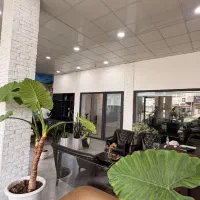 استخدام مشاور املاک مستعد، مسیر رشد و در آمد بالا