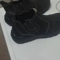 سپیدار