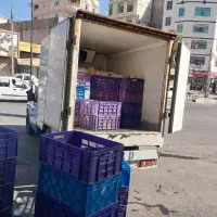 پای مرغ تازه کشتار روز